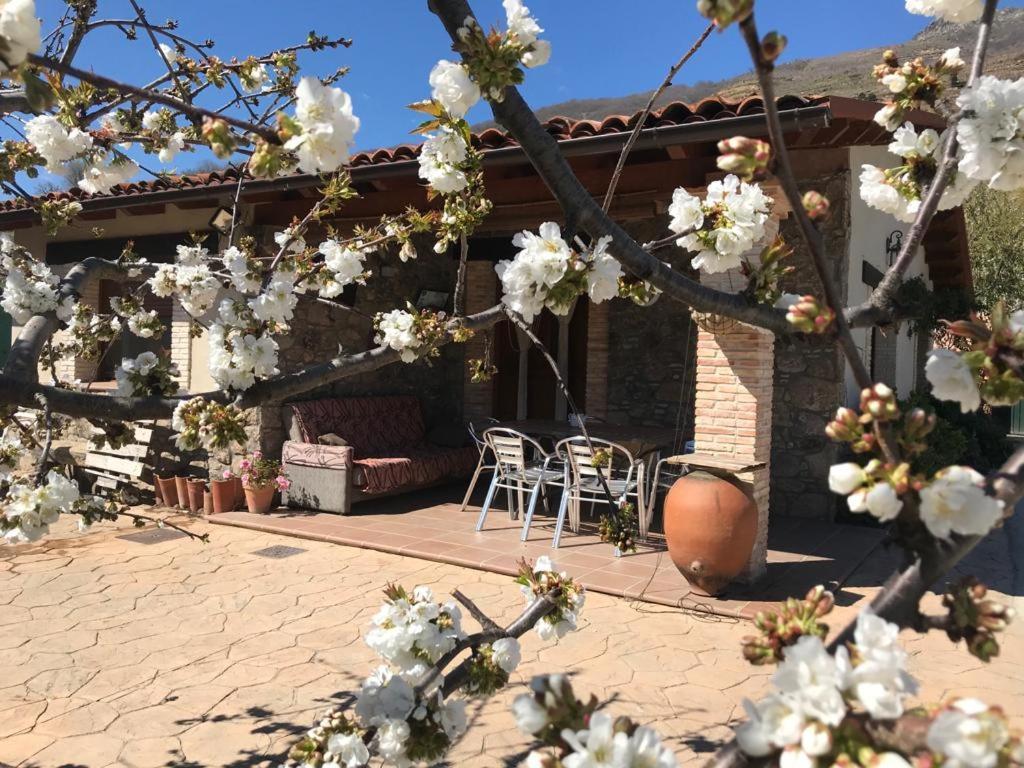 Casa Rural La Picotina Navaconcejo Eksteriør billede