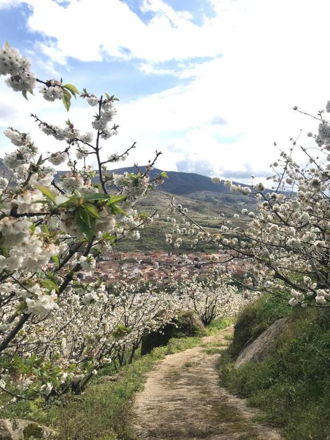 Casa Rural La Picotina Navaconcejo Eksteriør billede