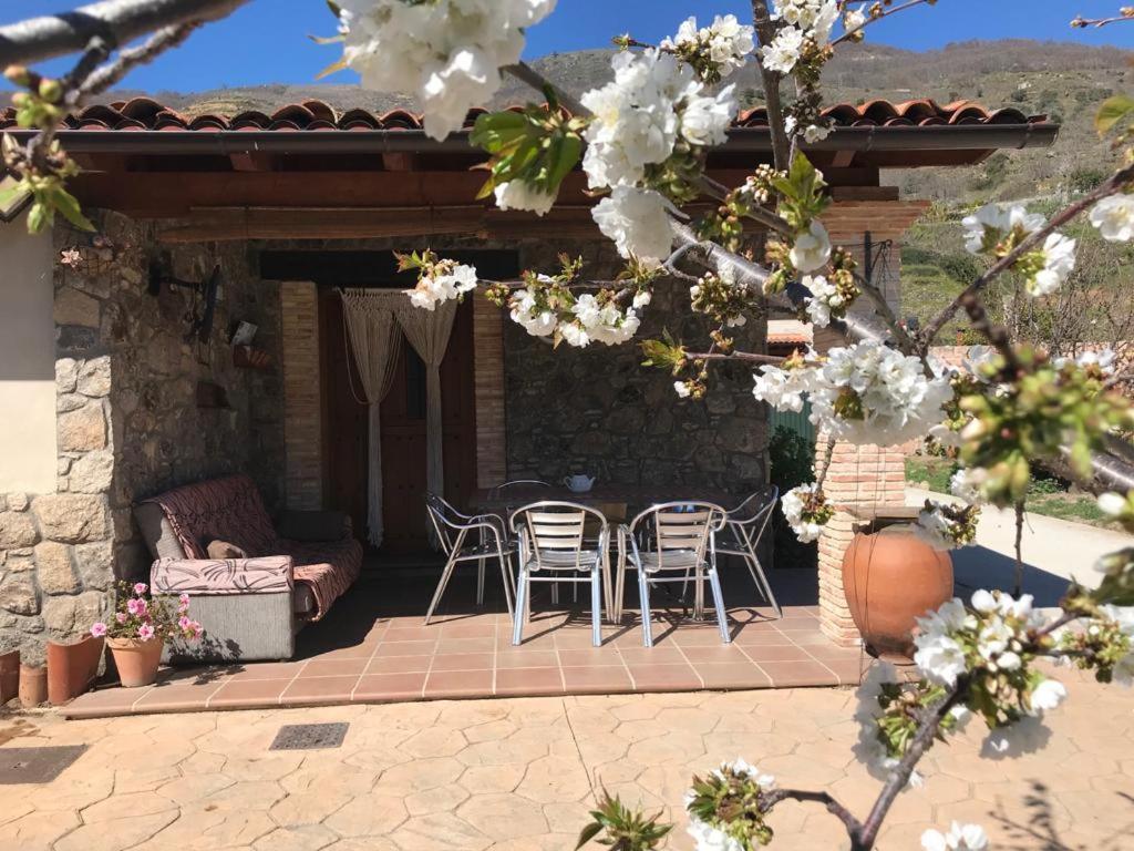 Casa Rural La Picotina Navaconcejo Eksteriør billede