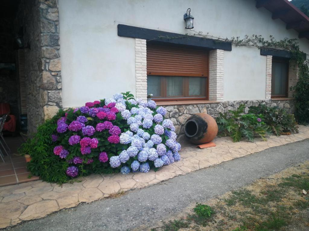 Casa Rural La Picotina Navaconcejo Eksteriør billede